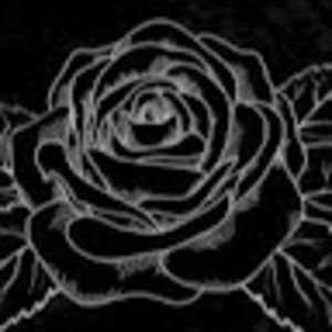 Meet your Posher, Logan